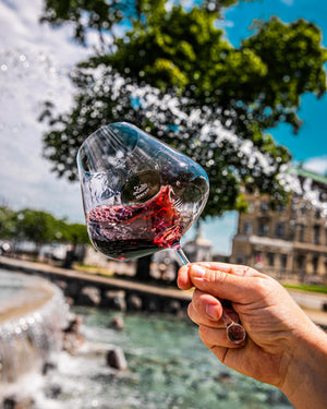 wine glass, red wine glass, wine glasses, zalto, zalto glasses, glassware,glassware dubai, burgundy glass